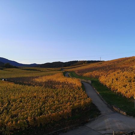 L'Horizon Daire Bergheim Dış mekan fotoğraf