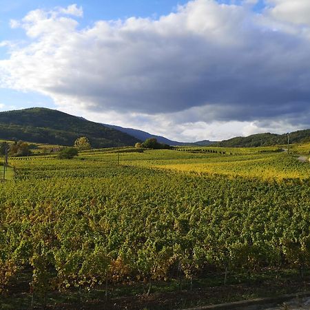L'Horizon Daire Bergheim Dış mekan fotoğraf
