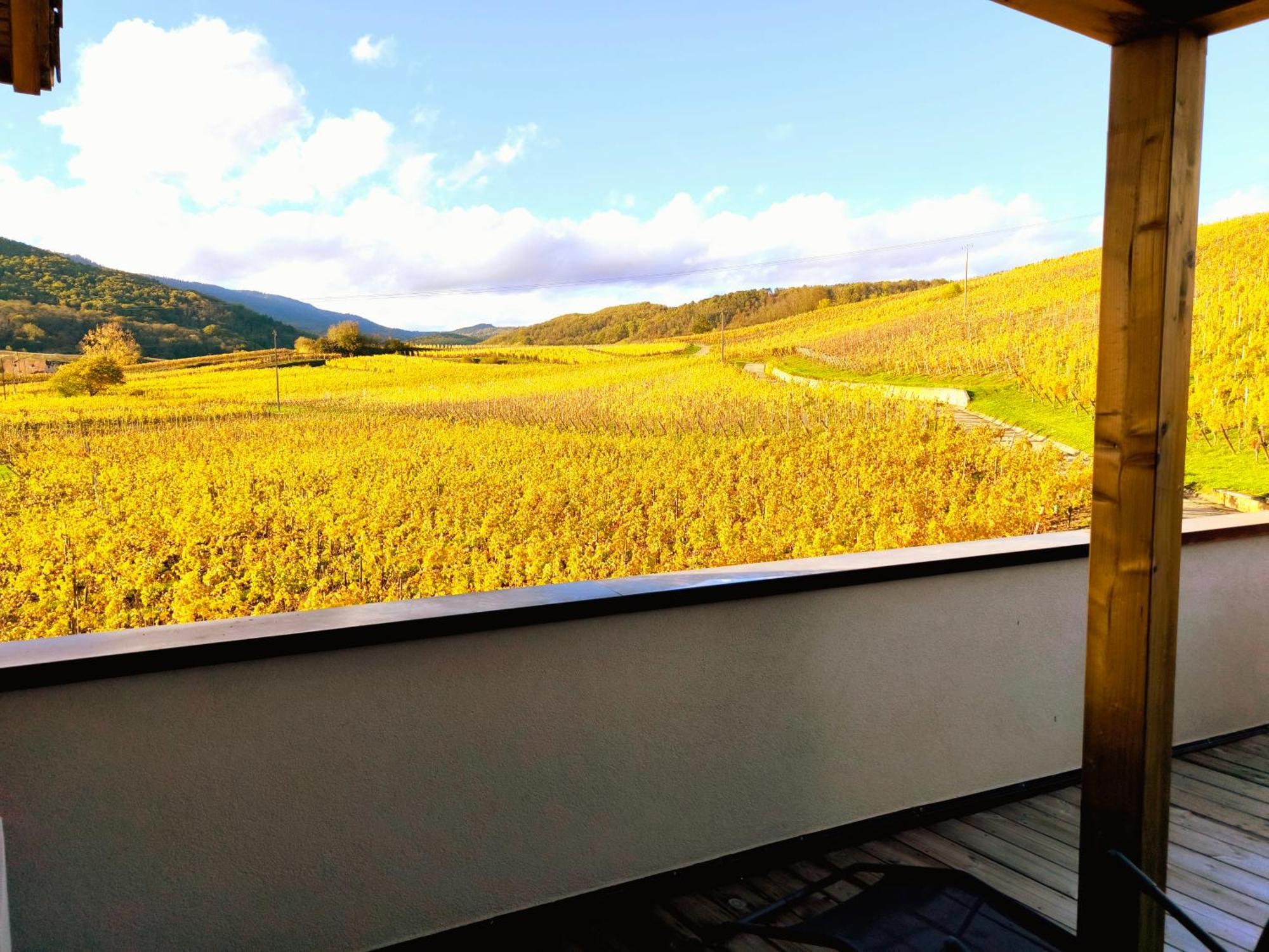 L'Horizon Daire Bergheim Dış mekan fotoğraf